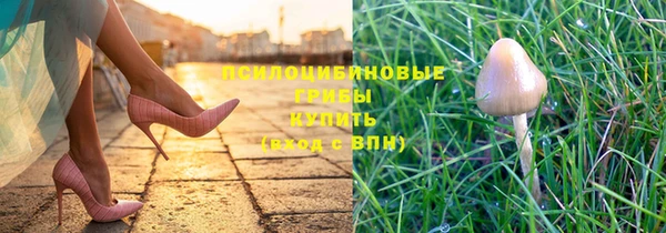 ешки Абинск