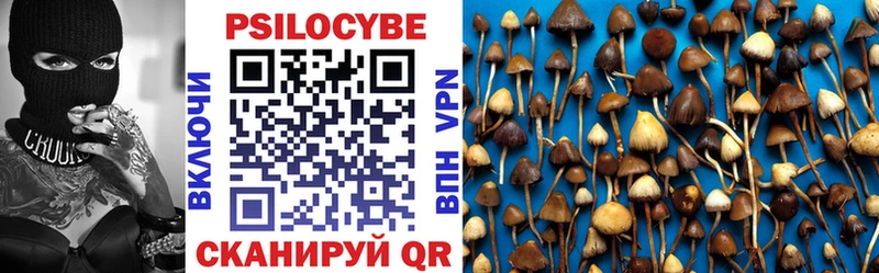 Галлюциногенные грибы Cubensis  Чегем 