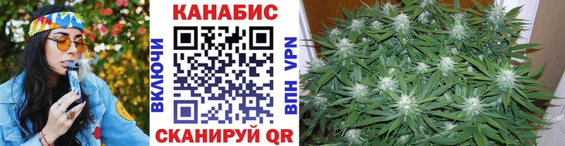 Бошки марихуана гибрид  маркетплейс телеграм  Чегем  хочу наркоту 